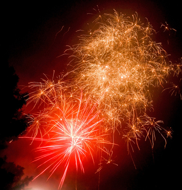 vibrant fireworks display - Photo, Image