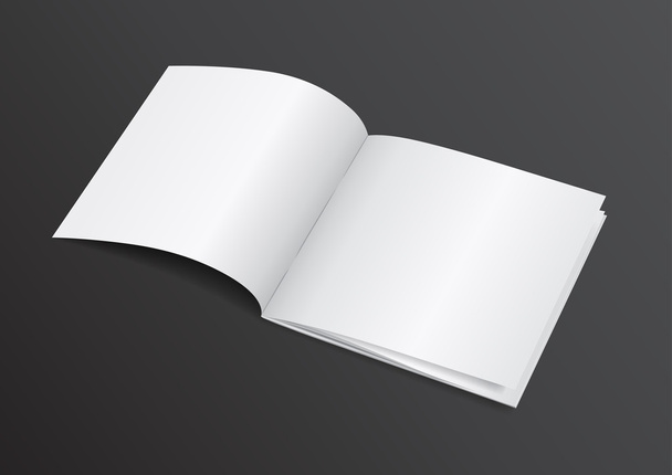 Open White Blank Brochure Magazine for Mock up - Vector Illustra - ベクター画像