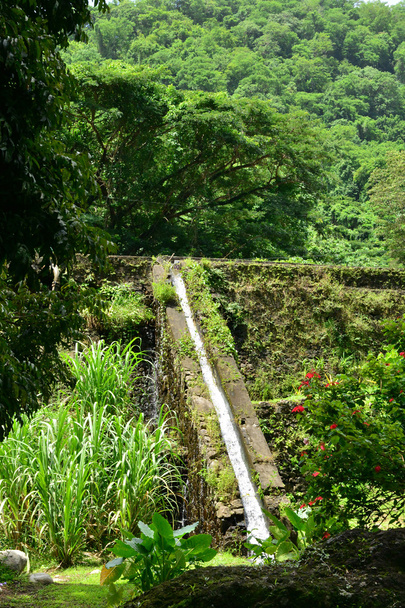 Martinique, pittoresque Habitation Ceron à Le Precheur dans l'Ouest
  - Photo, image