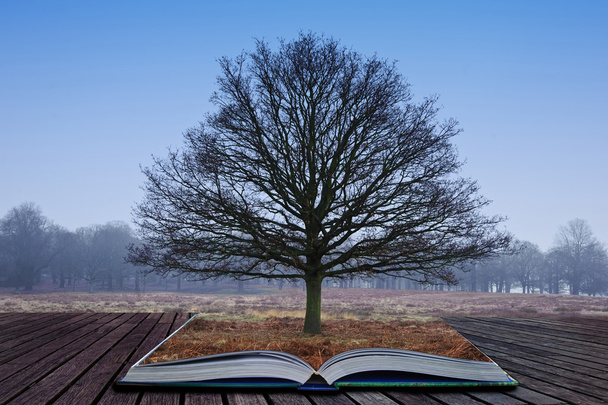 einzelner Baum wächst aus Seiten in magischem Buch - Foto, Bild