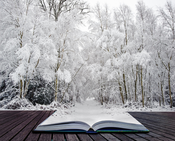 Winter wonderland in pages of magical book - Photo, Image