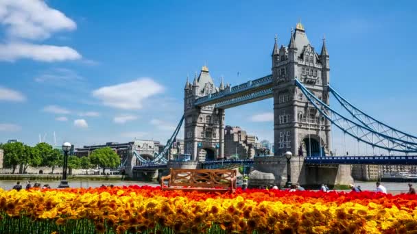 Zeitraffer-Aufnahme einer Tower Bridge in London an einem schönen Sommertag mit Gerberas davor - Filmmaterial, Video