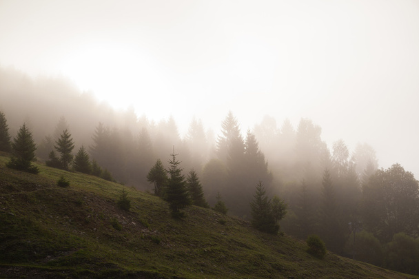 Hideg ködös hegyek - Fotó, kép