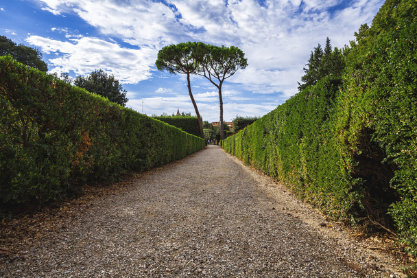 inside the garden of Boboli - Photo, Image