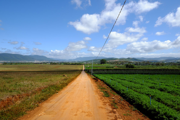 maatalousmaa, Dalat, Vietnam, pelto, vihannestila
  - Valokuva, kuva