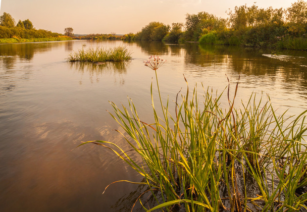 Widok na rzekę Tietieriew - Zdjęcie, obraz