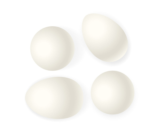 Білий векторний яйця
 - Вектор, зображення