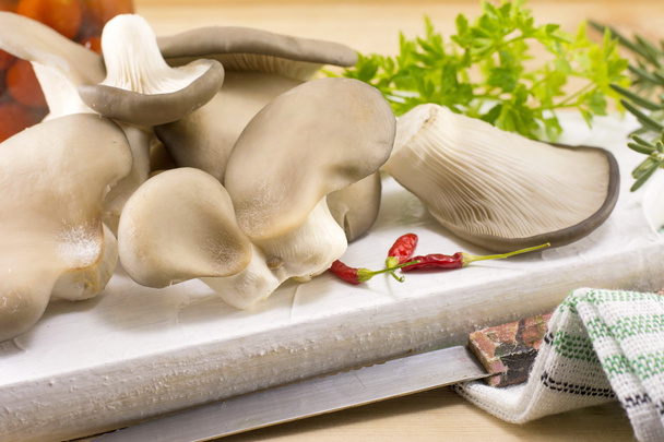 Bando de cogumelos de ostra
 - Foto, Imagem