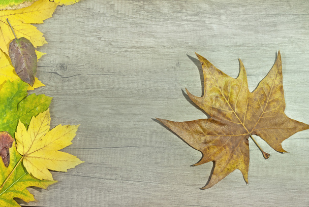 Jesienne liście i pomarańczowy liść nad drewniane drewniane tła  - Zdjęcie, obraz