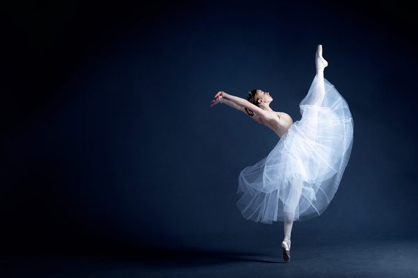 Young ballerina with a perfect body is dancing in the photostudio in different dresses - Fotó, kép
