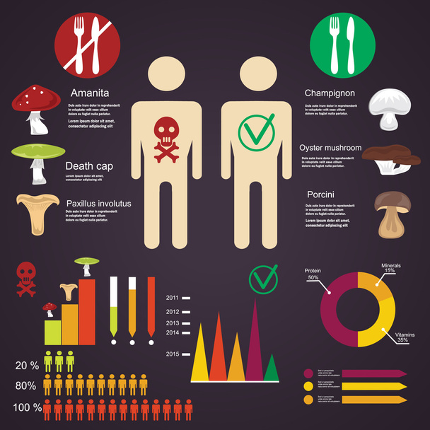 Ilustración de hongos comestibles y venenosos con elementos infográficos
  - Vector, imagen