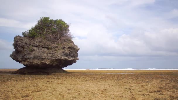 海の波を背景に茂みを持つ岩 - 映像、動画