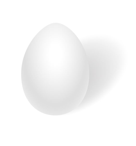 白いベクトル卵 - ベクター画像