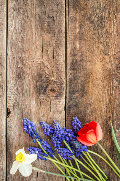 Spring flowers over wooden background - Fotó, kép
