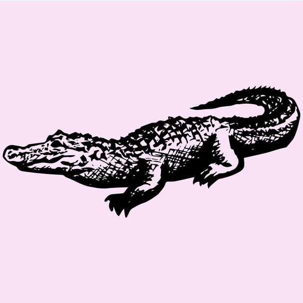Crocodile, alligator, style doodle
 - Vecteur, image