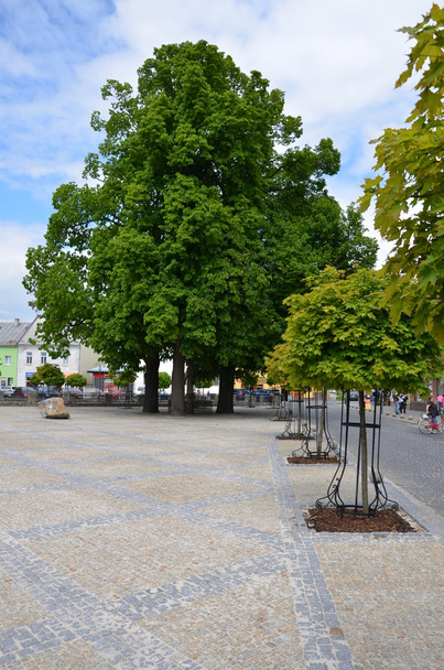 δέντρα στην πλατεία της πόλης - Φωτογραφία, εικόνα