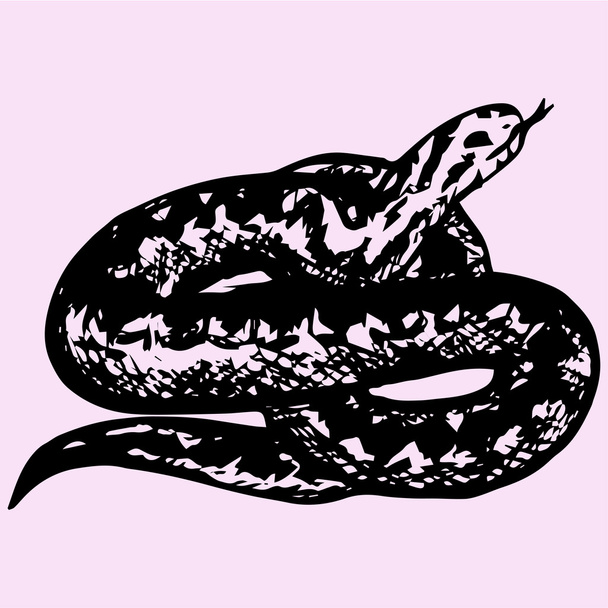 Snake, doodle stijl. Vector - Vector, afbeelding