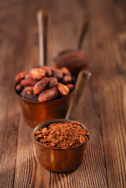 chocolat râpé, poudre et fèves de cacao
 - Photo, image