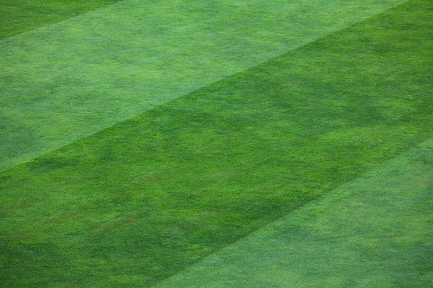 Close-up of striped pattern on grassy soccer field - Photo, Image