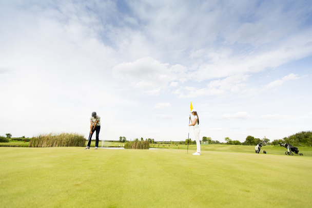 Çifte golf sahası - Fotoğraf, Görsel
