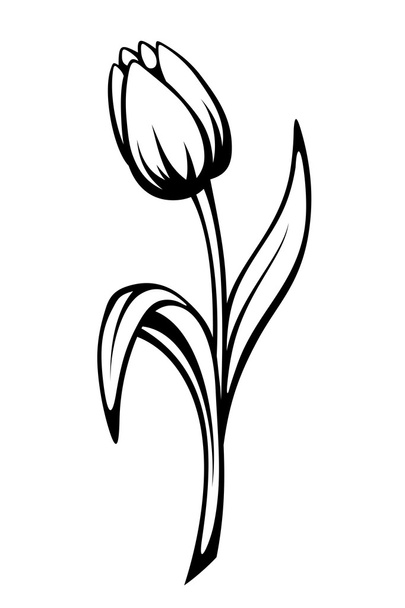 Black contour of a tulip flower. Vector line art illustration. - Vector, Image