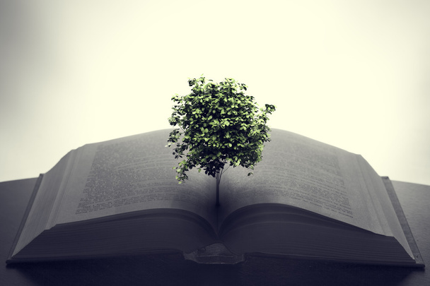 Baum wächst aus einem offenen Buch - Foto, Bild