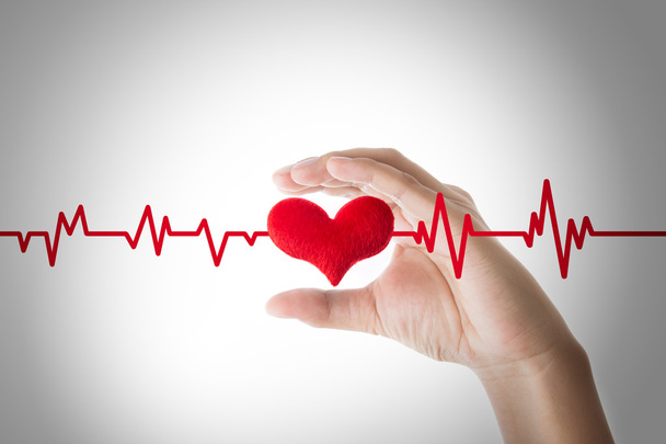 χέρια που κρατούν την κόκκινη καρδιά με ΗΚΓ γραμμή σε άσπρο φόντο, καρδιά - Φωτογραφία, εικόνα
