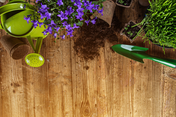 Gardening tools and flowers on wooden background - 写真・画像