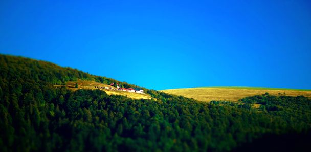 Гарними гірськими пейзажами у регіоні Вогези, Франція - Фото, зображення
