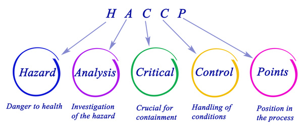 Diagram of HACCP szabályozási követelmények - Fotó, kép