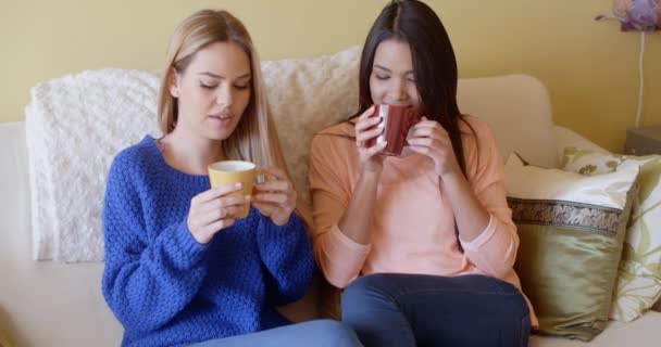 women enjoying relaxing coffee on sofa - Video