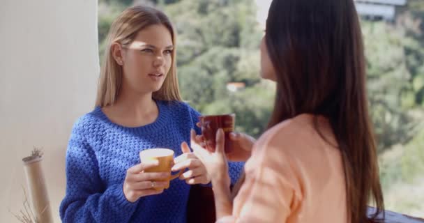 women having friendly chat - Πλάνα, βίντεο