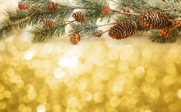 Різдвяний фон з ялинковими гілками, фотографіями та ягодами на старій дерев'яній дошці в вінтажному стилі
 - Фото, зображення