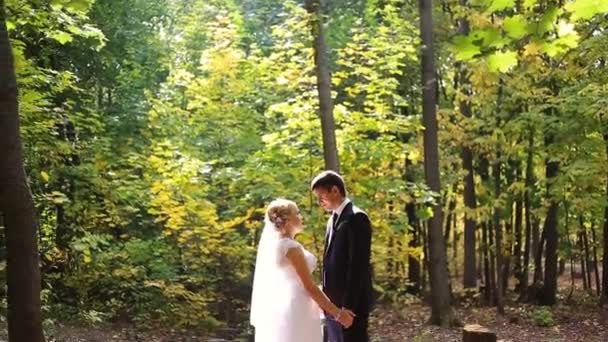 Наречений і наречений цілуються в лісі
 - Кадри, відео