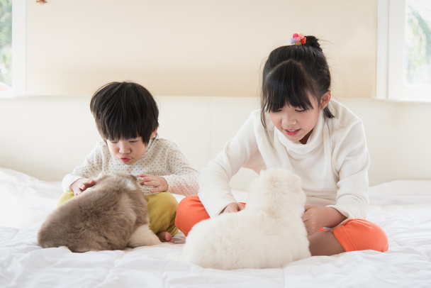 asiatische Kinder küssen Welpen auf weißem Bett - Foto, Bild