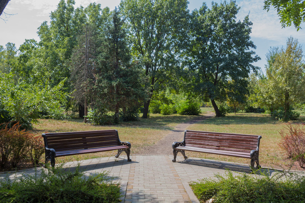 Zwei Bänke neben dem Blumenbeet im Park - Foto, Bild