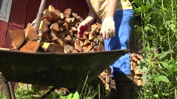 main mâle décharger le bois haché en tas. Travail de saison dans le jardin. 4K
 - Séquence, vidéo