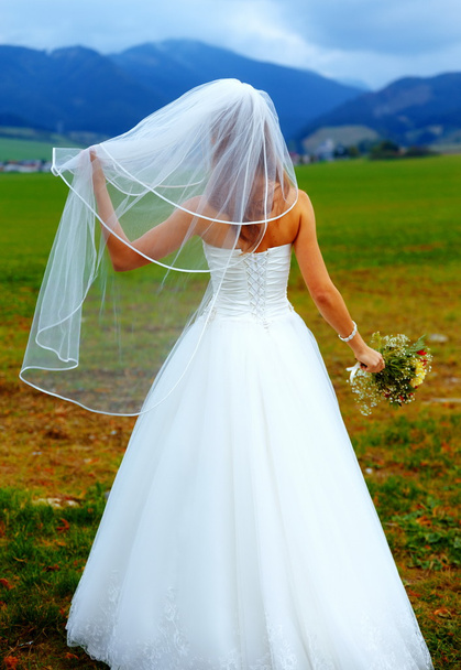 nevěsta v šatech s rouškou na zádech čelem k horské krajině se svatební kyticí v ruce - Fotografie, Obrázek