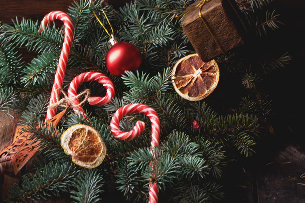 Christmas cane candies on the fur tree - Φωτογραφία, εικόνα