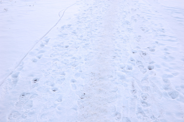 empreintes de pas dans la neige - Photo, image