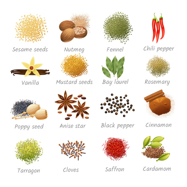 Icons Set Of Spices - Vector, Image