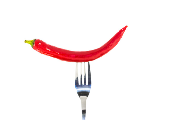 Red hot chili pepper - 写真・画像