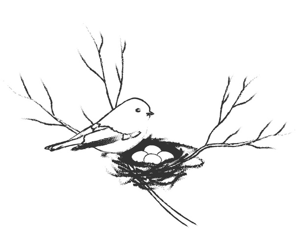 Bird and nest with eggs. - Vector, Image