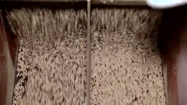Zařízení pro zpracování slunečnicových semen - Záběry, video