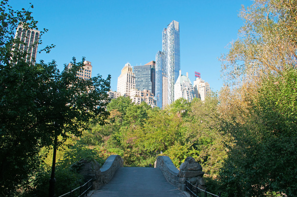 New York City: kaupungin ikoninen taivaanranta Central Parkin kivisillalta nähtynä, kuuluisa kaupunkipuisto Manhattanilla Upper West Siden ja Upper East Siden välissä
 - Valokuva, kuva