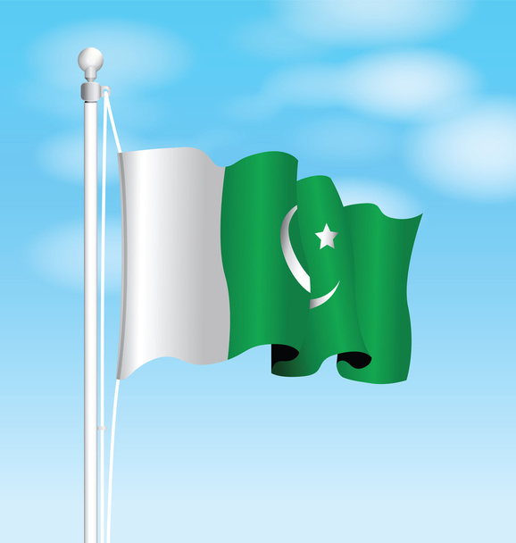 Hintergrund pakistanische Flagge - Vektor, Bild