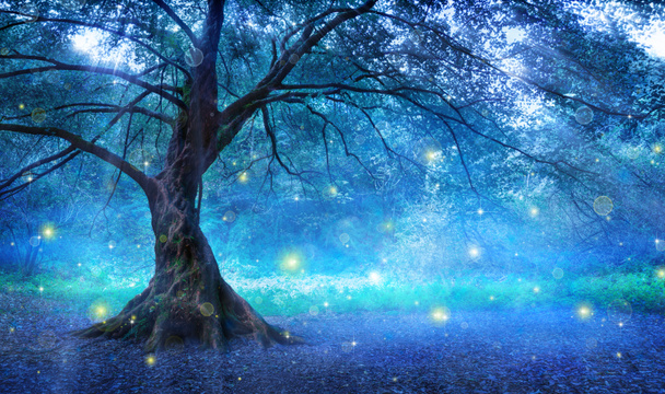 Arbre de fées dans la forêt mystique
 - Photo, image