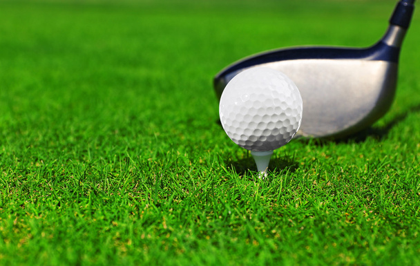 Golf club and ball - Photo, Image