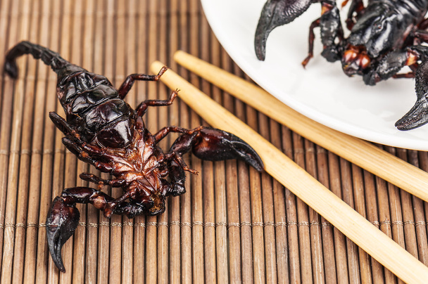 black roasted scorpion - Photo, Image
