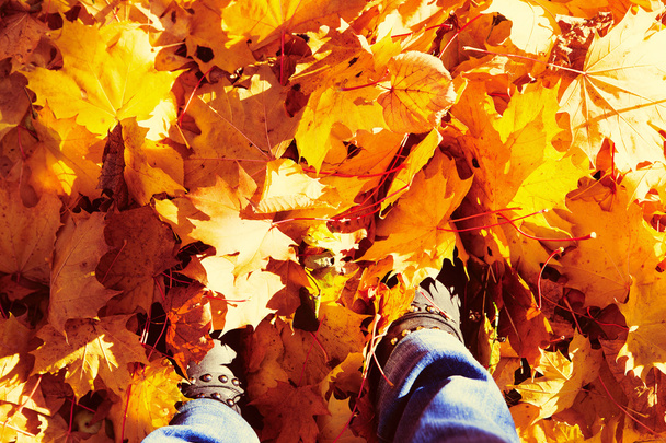 Jesień, jesień, liście, nogi i buty. - Zdjęcie, obraz